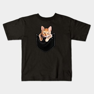 Funny Cute Ginger Cat Inside Pocket, Cat Lover Kids T-Shirt